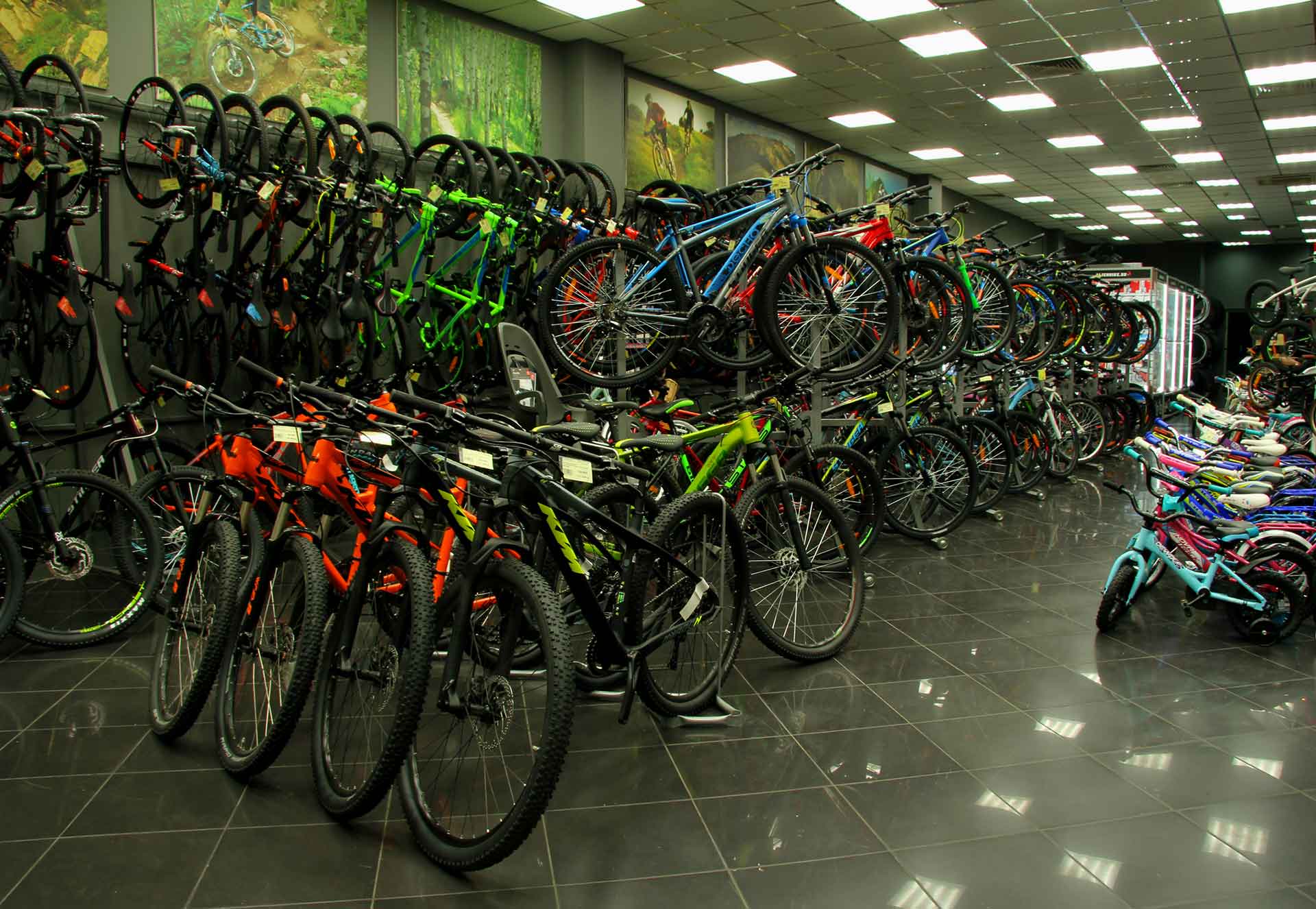 Где Купить Велосипеды В Омске