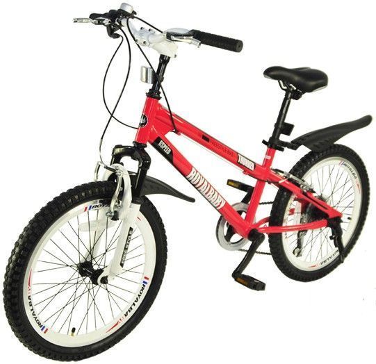 Детский велосипед от 5 до 9 лет Royal Baby Freestyle 20" фото
