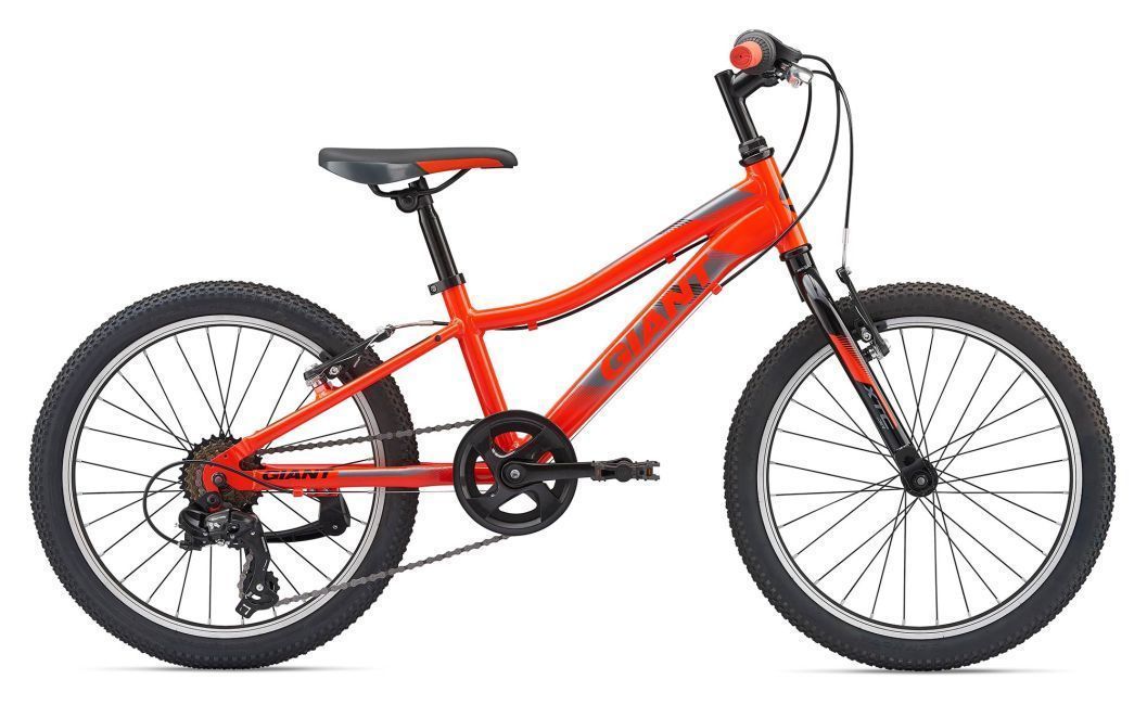 Детский велосипед от 5 до 9 лет Giant XTC JR 20 Lite (2019) фото